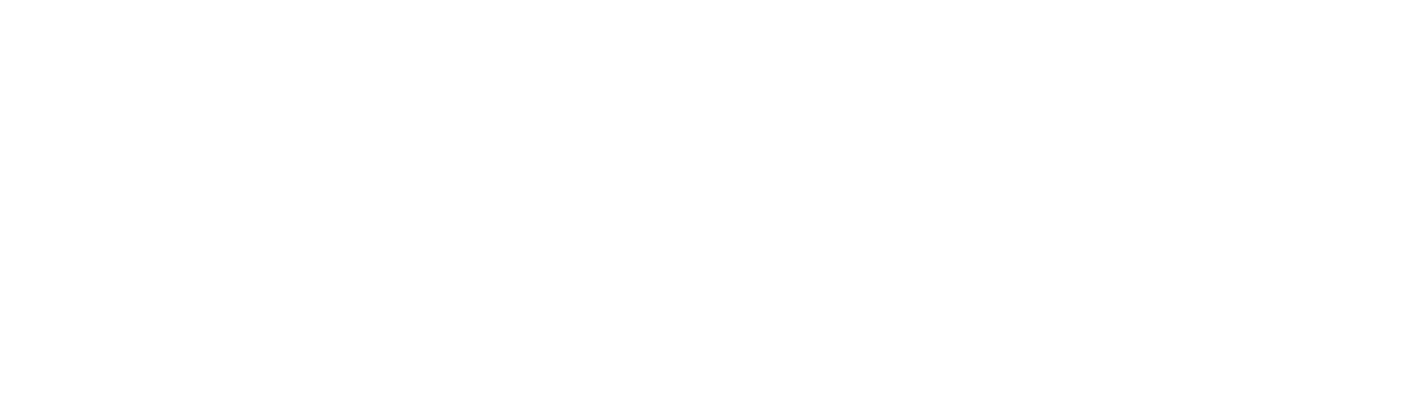 SkylandX logosu